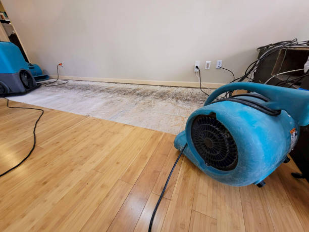 Professional Water Damage Repair technician working in Celina, TX